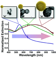 Graphical abstract: Hollow spherical gold nanoparticle superstructures with tunable diameters and visible to near-infrared extinction