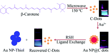 Graphical abstract: Carbon nanodots as ligand exchange probes in Au@C-dot nanobeacons for fluorescent turn-on detection of biothiols