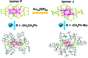 Graphical abstract: The ligand effect on the isomer stability of Au24(SR)20 clusters
