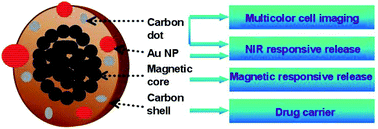 Graphical abstract: Magnetic/NIR-responsive drug carrier, multicolor cell imaging, and enhanced photothermal therapy of gold capped magnetite-fluorescent carbon hybrid nanoparticles