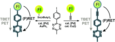 Graphical abstract: Rigid tetrazine fluorophore conjugates with fluorogenic properties in the inverse electron demand Diels–Alder reaction
