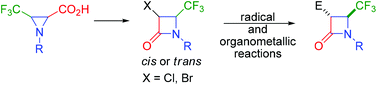 Graphical abstract: Access to novel functionalized trifluoromethyl β-lactams by ring expansion of aziridines