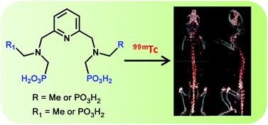 Graphical abstract: Phosphonated chelates for nuclear imaging