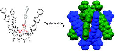 Graphical abstract: Molecular recognition of upper rim functionalized cavitand and its unique dimeric capsule in the solid state