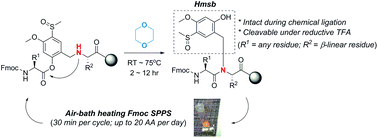 Graphical abstract: Accelerated Fmoc solid-phase synthesis of peptides with aggregation-disrupting backbones