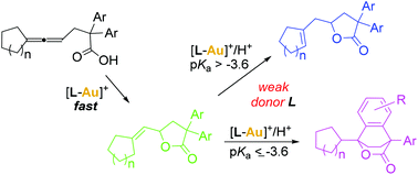 Graphical abstract: Ligand- and Brønsted acid/base-switchable reaction pathways in gold(i)-catalyzed cycloisomerizations of allenoic acids