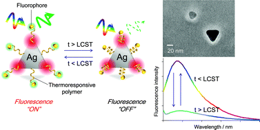 Graphical abstract: Development of highly thermoresponsive fluorescent sensors consisting of plasmonic silver nanoprisms and poly(N-isopropylacrylamide)–fluorophore composites