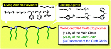 Graphical abstract: Synthesis of well-controlled graft polymers by living anionic polymerization towards exact graft polymers
