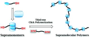 Graphical abstract: Supramolecular polymers synthesized by thiol–ene click polymerization from supramonomers