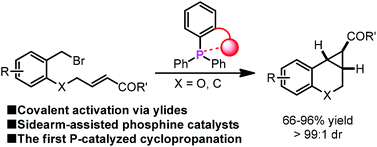 Graphical abstract: A sidearm-assisted phosphine for catalytic ylide intramolecular cyclopropanation