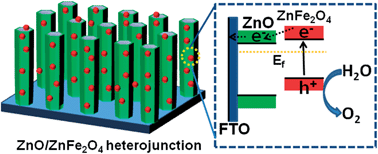 Graphical abstract: A nanostructured ZnO–ZnFe2O4 heterojunction for the visible light photoelectrochemical oxidation of water