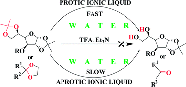 Graphical abstract: Activation of 1,3-dioxolane by a protic ionic liquid in aqueous media: a green strategy for the selective hydrolytic cleavage of acetals and ketals