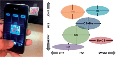 Graphical abstract: Paper microfluidics for red wine tasting