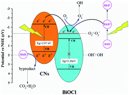 Graphical abstract: Construction of exfoliated g-C3N4 nanosheets–BiOCl hybrids with enhanced photocatalytic performance