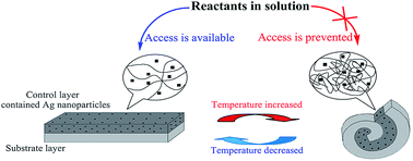 Graphical abstract: A soft shape memory reactor with controllable catalysis characteristics