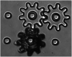 Graphical abstract: Fabrication of magneto-responsive microgears based on magnetic nanoparticle embedded PDMS