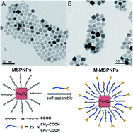 Graphical abstract: Water-soluble Fe3O4 superparamagnetic nanocomposites for the removal of low concentration mercury(ii) ions from water