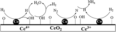 Graphical abstract: Effect of pretreatment on ceria-supported cobalt catalyst for ammonia synthesis