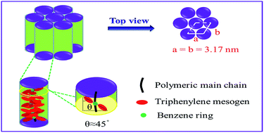 Graphical abstract: Synthesis and phase behavior of mesogen-jacketed liquid crystalline polymer with triphenylene discotic liquid crystal mesogen unit in side chains