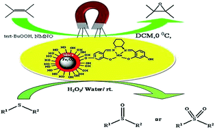 Graphical abstract: A magnetically recyclable Fe3O4@SiO2/Mn(iii) chiral salen complex as a highly selective and versatile heterogeneous nanocatalyst for the oxidation of olefins and sulfides
