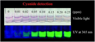 Graphical abstract: A highly efficient dinuclear Cu(ii) chemosensor for colorimetric and fluorescent detection of cyanide in water