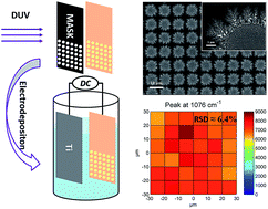 Graphical abstract: A highly-ordered and uniform sunflower-like dendritic silver nanocomplex array as reproducible SERS substrate