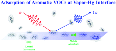 Graphical abstract: A surface second harmonic generation investigation of volatile organic compound adsorption on a liquid mercury surface