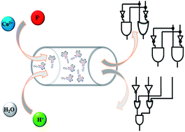 Graphical abstract: Chemically-driven “molecular logic circuit” based on osmium chromophore with a resettable multiple readout