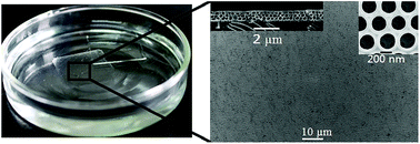 Graphical abstract: Self-supporting hybrid silica membranes with 3D large-scale ordered interconnected pore architectures