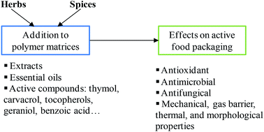 Graphical abstract: Use of herbs, spices and their bioactive compounds in active food packaging
