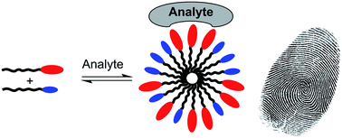 Graphical abstract: Pattern-based sensing of aminoglycosides with fluorescent amphiphiles