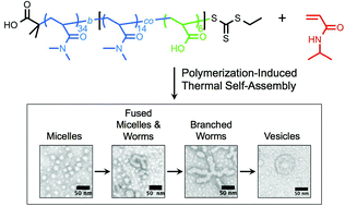 Graphical abstract: Polymerization-induced thermal self-assembly (PITSA)