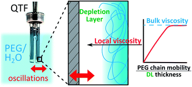 Graphical abstract: A depletion layer in polymer solutions at an interface oscillating at the subnano- to submicrometer scale