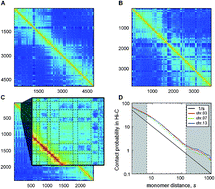 Graphical abstract: A statistical model of intra-chromosome contact maps