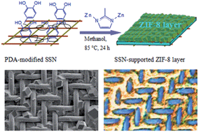 Graphical abstract: Highly hydrogen permselective ZIF-8 membranes supported on polydopamine functionalized macroporous stainless-steel-nets