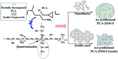 Graphical abstract: The templating effect of an easily available cationic polymer with widely separated charge centers on the synthesis of a hierarchical ZSM-5 zeolite