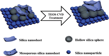 Graphical abstract: An effective method to significantly enhance the robustness and adhesion-to-substrate of high transmittance superamphiphobic silica thin films