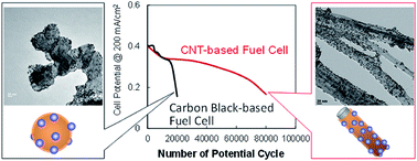 Graphical abstract: Durability analysis of polymer-coated pristine carbon nanotube-based fuel cell electrocatalysts under non-humidified conditions