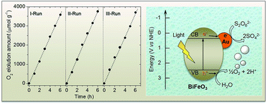 Graphical abstract: A high surface area ordered mesoporous BiFeO3 semiconductor with efficient water oxidation activity