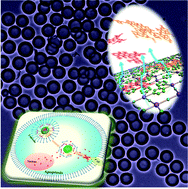 Graphical abstract: A salt-assisted acid etching strategy for hollow mesoporous silica/organosilica for pH-responsive drug and gene co-delivery