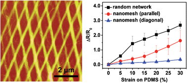 Graphical abstract: Directed self-assembly of rhombic carbon nanotube nanomesh films for transparent and stretchable electrodes