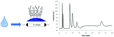 Graphical abstract: A new approach for trace analysis of guanidine compounds in surface water with resorcinarene-based ion chromatography columns