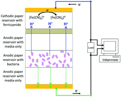 Graphical abstract: Monitoring electron and proton diffusion flux through three-dimensional, paper-based, variable biofilm and liquid media layers