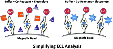 Graphical abstract: Electrogenerated chemiluminescence of tris(2,2′ bipyridine)ruthenium(ii) using common biological buffers as co-reactant, pH buffer and supporting electrolyte