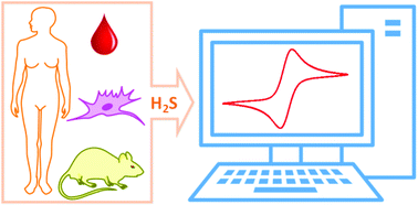 Graphical abstract: Electrochemical hydrogen sulfide biosensors