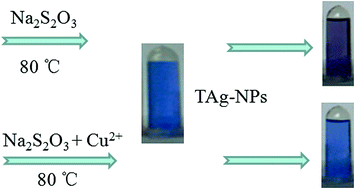 Graphical abstract: Visual detection of trace copper(ii) based on its catalytic action in the dissociation of thiosulfate