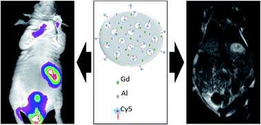 Graphical abstract: Near infrared fluorescence-magnetic resonance dual-modal imaging with Cy5-labeled, Gd–Al co-doped mesoporous silica nanoparticles