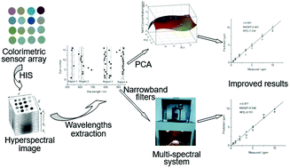 Graphical abstract: Characterization of colorimetric sensor arrays by a multi-spectral technique