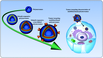 Graphical abstract: Stimuli-responsive polymersomes for cancer therapy