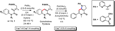 Graphical abstract: Palladium-catalyzed picolinamide-directed coupling of C(sp2)–H and C(sp2)–H: a straightforward approach to quinolinone and pyridone scaffolds